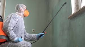 Best Residential Mold Inspection & Testing  in Quanah, TX